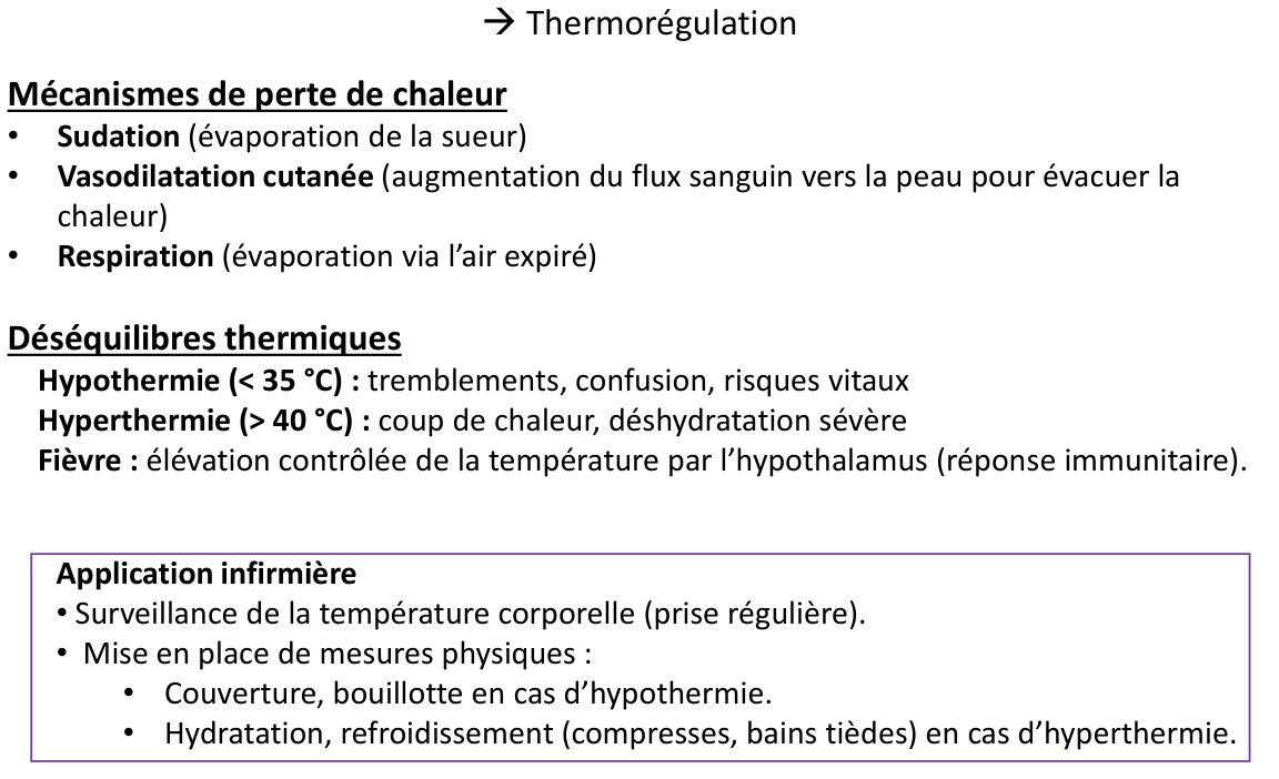 La page du support sur la thermorégulation : les mécanismes de perte de chaleur.