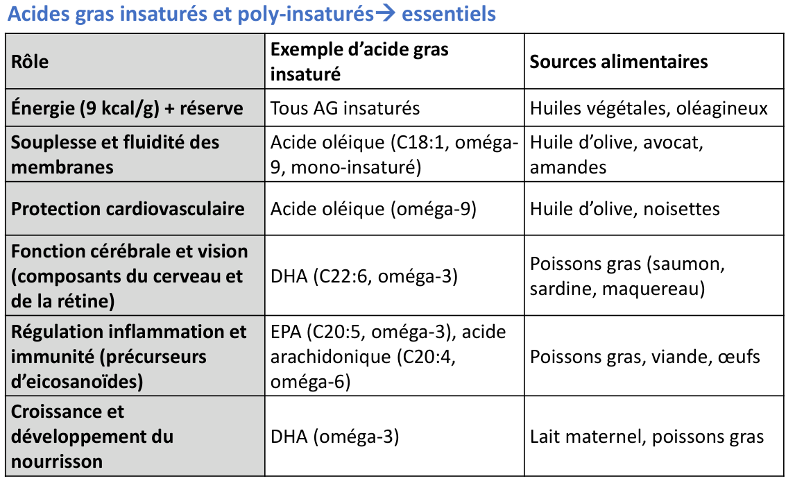 Tableau des acides gras insaturés et poly-insaturés : rôle, exemple, sources alimentaires