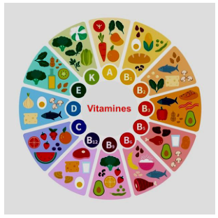 La roue des vitamines du support : une image pour se repérer.