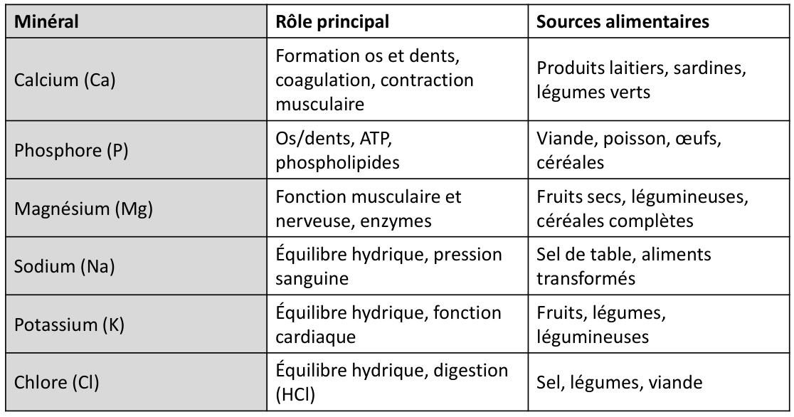 Le tableau des sels minéraux du support : sodium et potassium, « équilibre hydrique ».